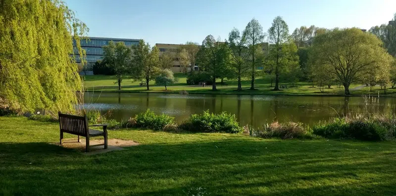 Bolsa para mulheres na University of Surrey: MBA com até 50% de desconto
