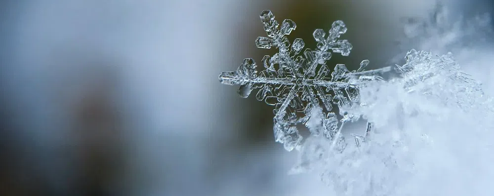 Como conquistar um estágio de inverno no exterior