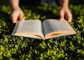 Relaxa lendo um livro no gramado do campus.