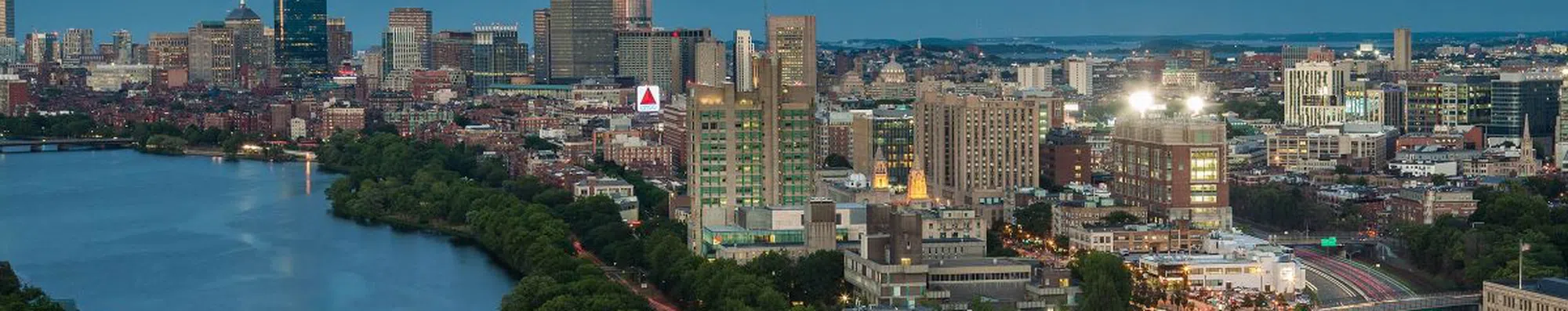 Teste: qual curso gratuito da Boston University tem tudo a ver com você?