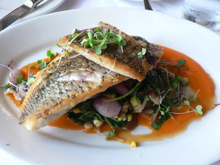 Barramundi é um peixe base de comidas típicas da Austrália