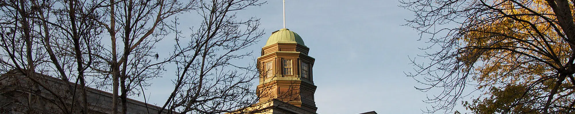 McGill e Universidade de Toronto: qual é a melhor?
