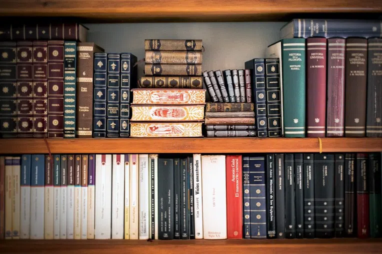 lit-cursos-gratuitos-de-harvard