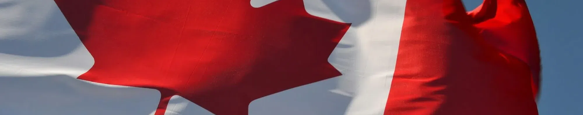 Mestrado grátis na McGill: prazo fecha em 19 de agosto