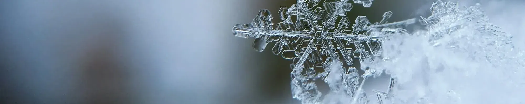 Como conquistar um estágio de inverno no exterior