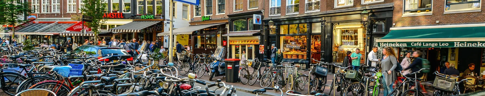 Estude na Holanda: conheça o Orange Tulip Scholarship