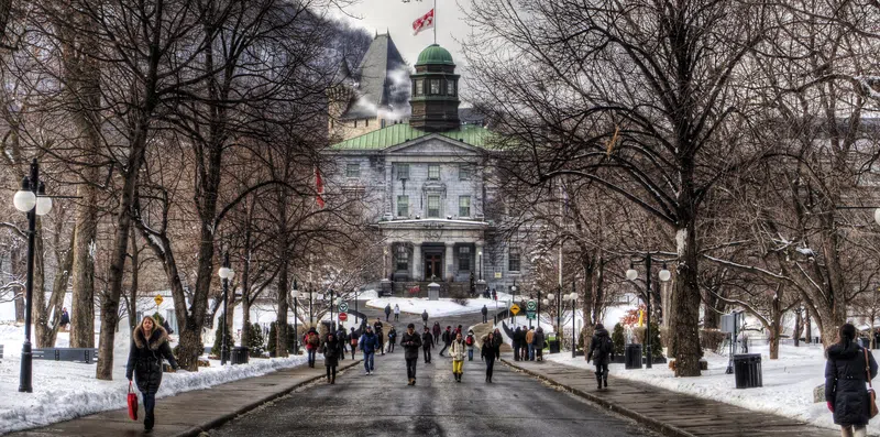 3 cursos online da Universidade McGill gratuitos