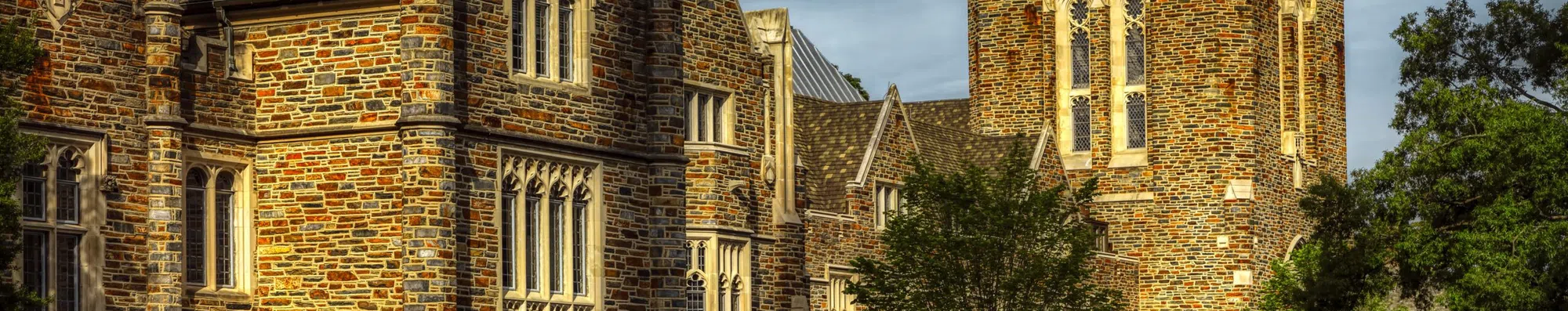 5 cursos online da Duke University gratuitos