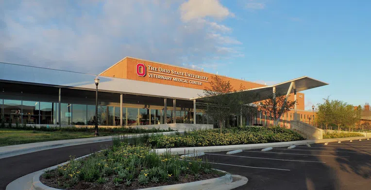 Escola-de-Veterinária-da-Ohio-State-University