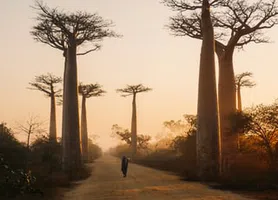 Madagascar