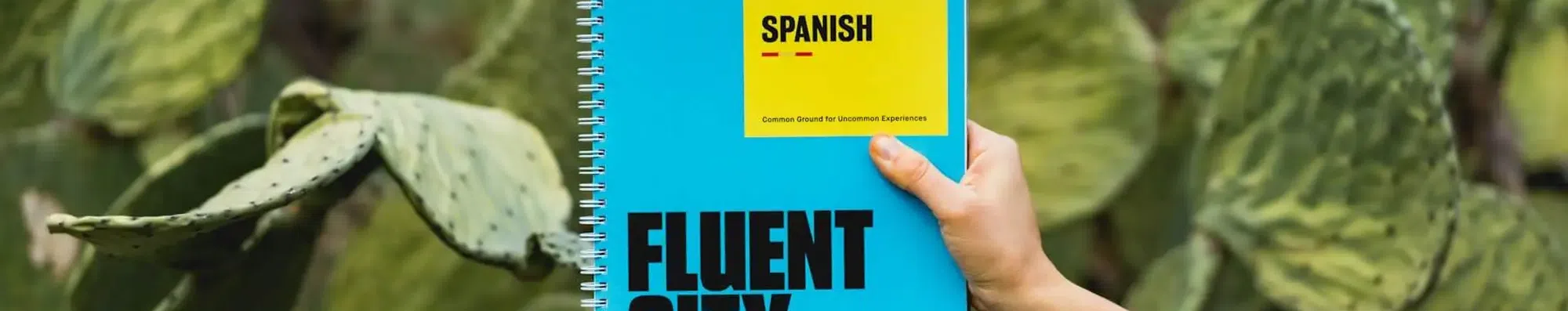Teste seu espanhol: nível fácil