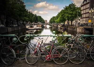 Holland Scholarship: estude na Holanda com bolsa