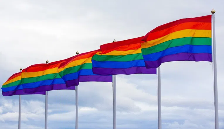 1-bolsas-estudantes-lgbtq+