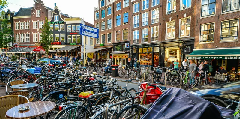 Estude na Holanda: conheça o Orange Tulip Scholarship