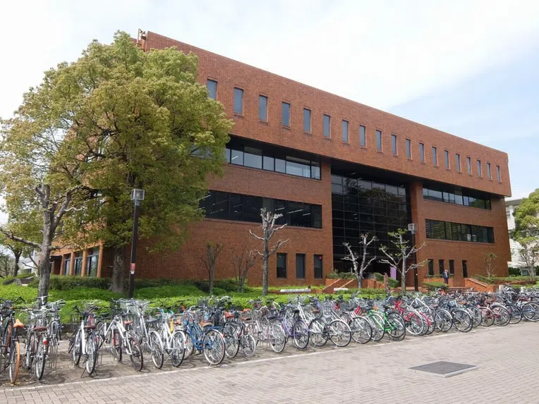 cursos-online-universidade-de-kyoto-2