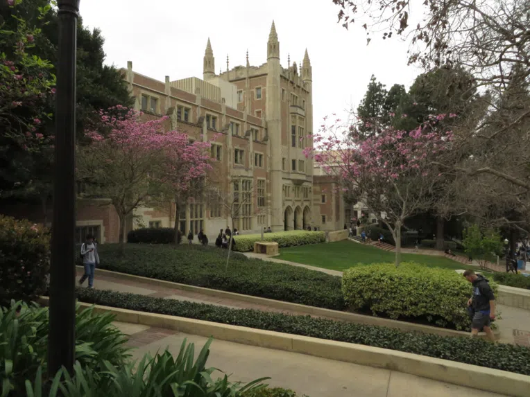 UCLA-Filme