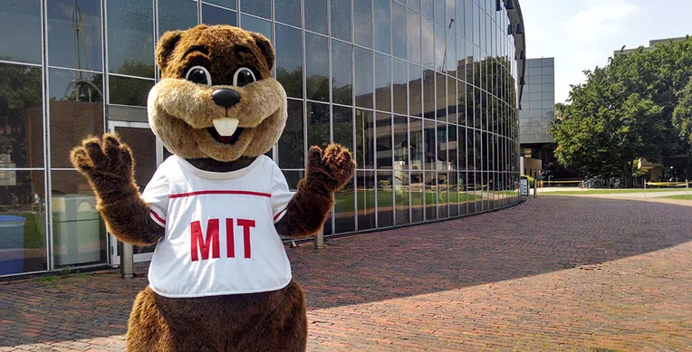 3-mascotes-das-universidades-dos-eua