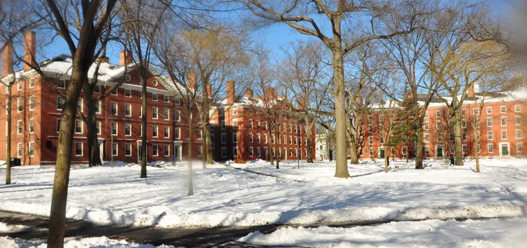 universidade-de-harvard