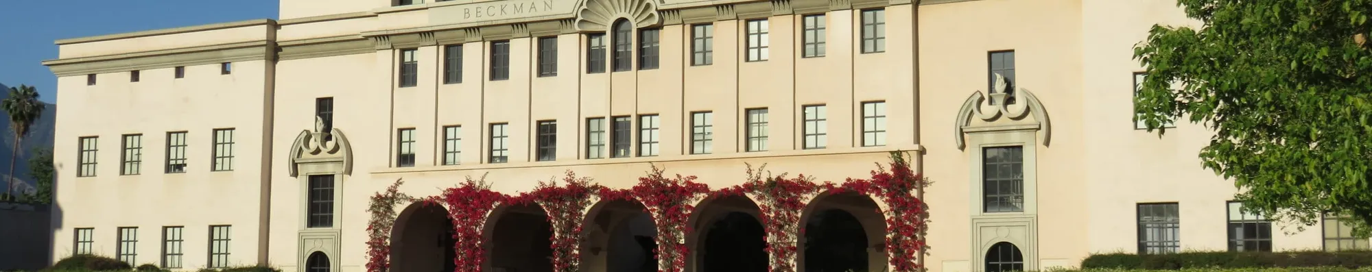 Como estudar na Caltech com bolsa?