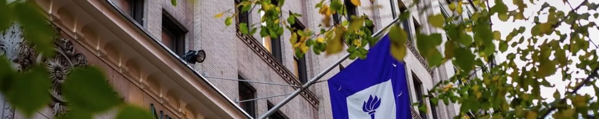 NYU (Universidade de Nova York): cursos, quanto custa e como entrar