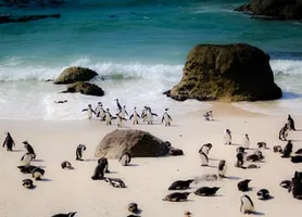 Cidade do Cabo