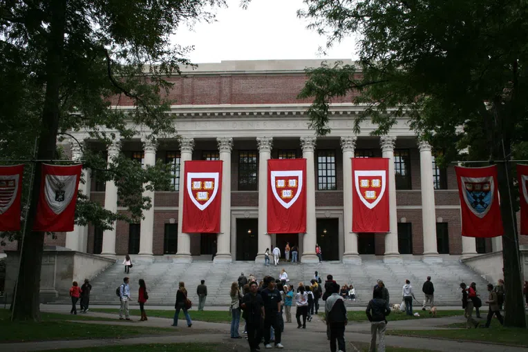 Cursos-Ivy-League