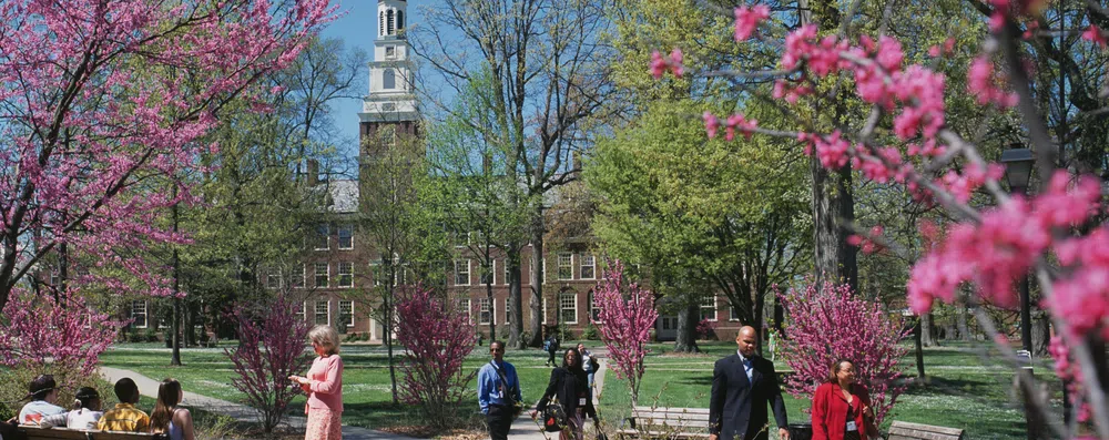 Free tuition: 5 faculdades americanas sem mensalidades