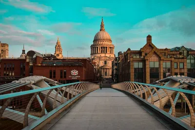 Doutorado em neurociência em Londres paga £30 mil
