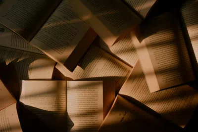 Ler livros em inglês: como escolher o nível certo