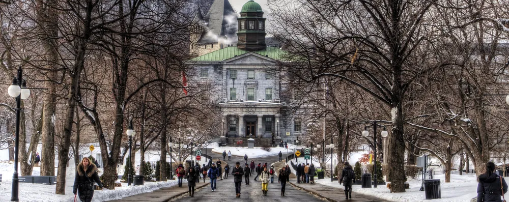 3 cursos online da Universidade McGill gratuitos