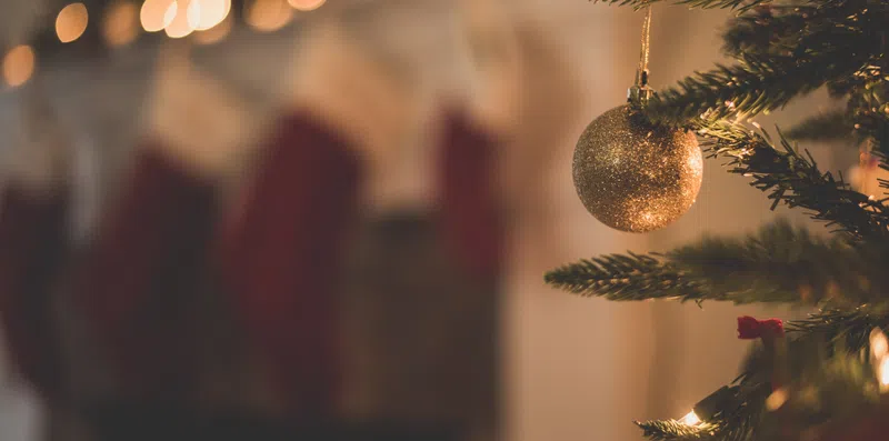 Nos diga quem é você na Ceia de Natal e descubra o destino de intercâmbio que mais combina com você