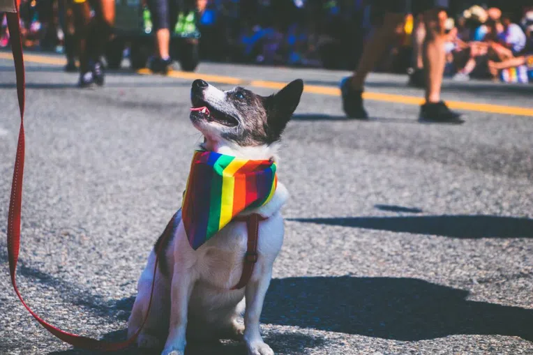 2-paises-mais-lgbt-friendly