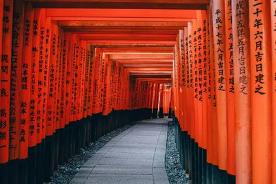 Bolsa MEXT: como ir ao Japão com tudo pago