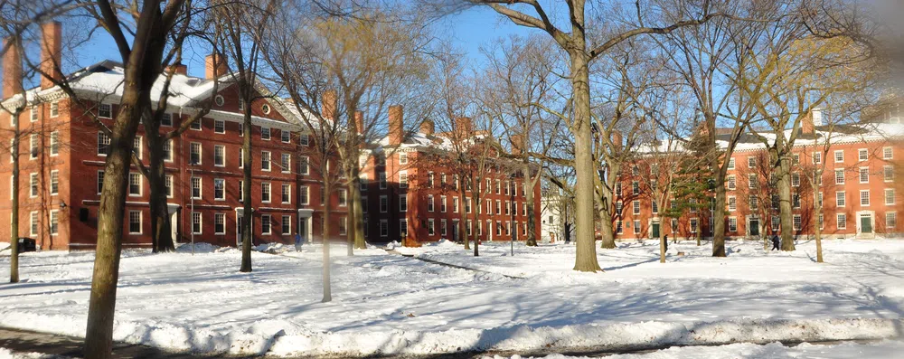 Teste: qual curso gratuito e online de Harvard você deve fazer?