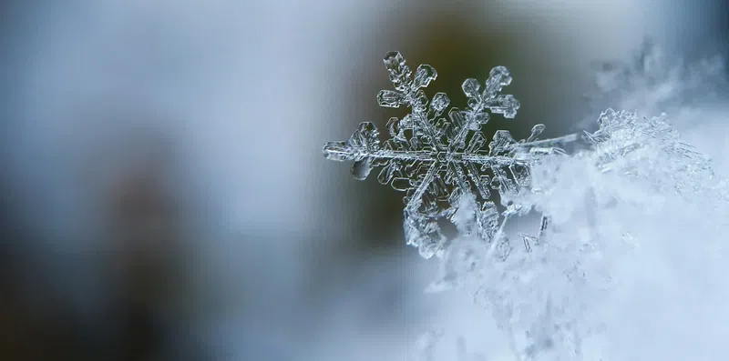 Como conquistar um estágio de inverno no exterior