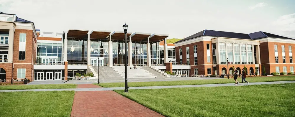 Diferença entre universidades públicas e privadas no exterior