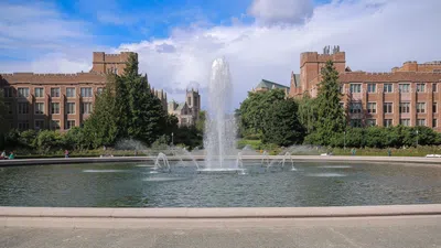Universidade de Washington: uma das faculdades públicas mais importantes dos EUA