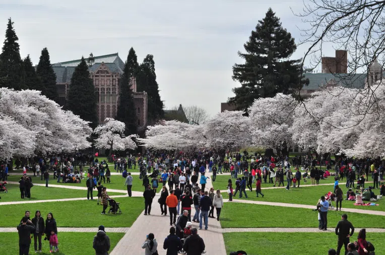 universidade-de-Washington-quadington-quad