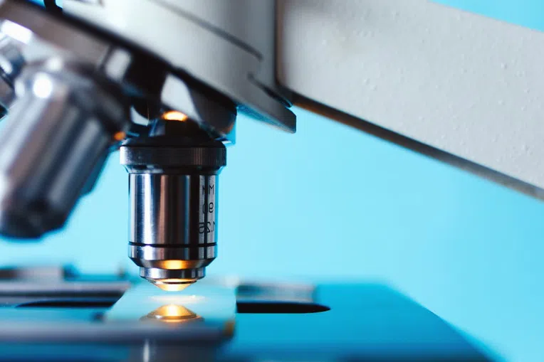 o que são ciências naturais - microscópios são muitos usados em cursos da área