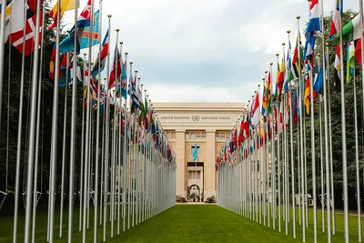 M60 pelo mundo: como a Giselly participou de simulações da ONU