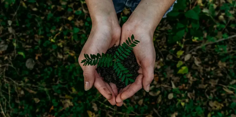 Como estudar sustentabilidade no exterior