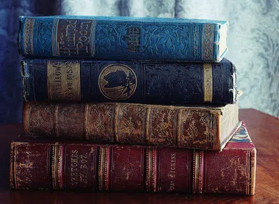 Faculdade dos famosos: 8 celebridades que estudaram Literatura