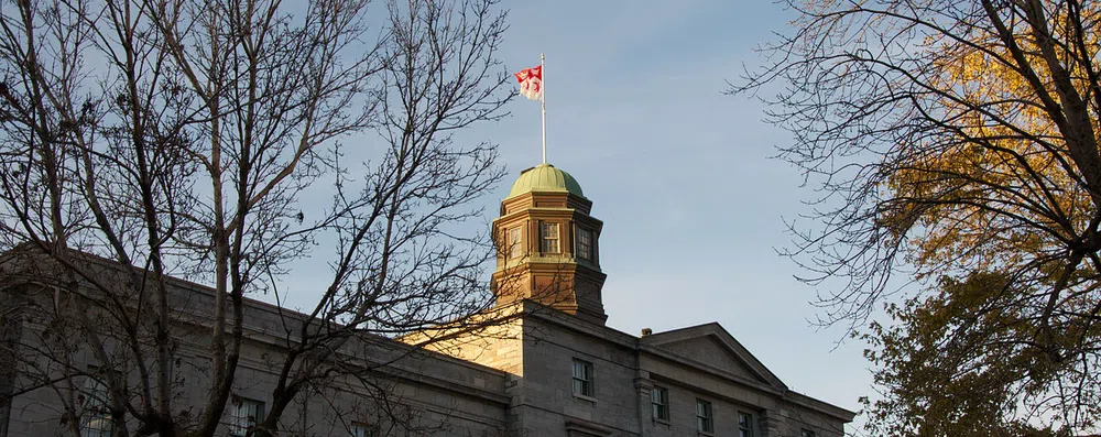 McGill e Universidade de Toronto: qual é a melhor?