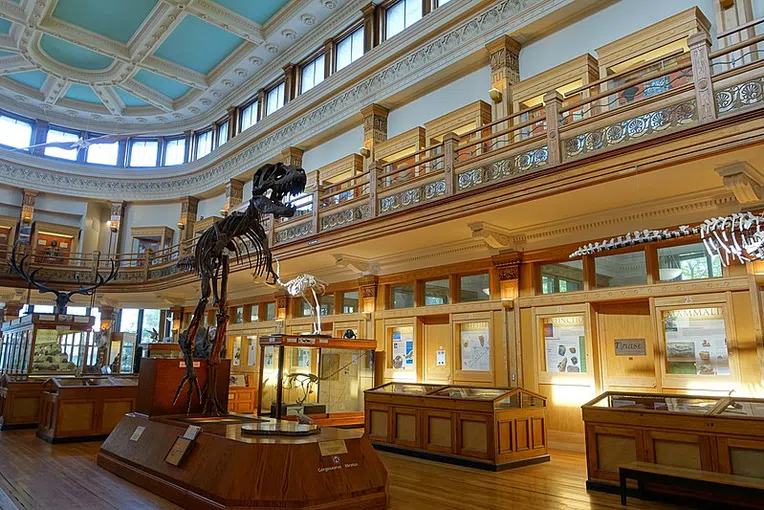 Museu-Redpath-Universidade-McGill