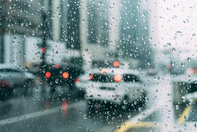 Frio ou calor? Onde estudar de acordo com a sua preferência de clima