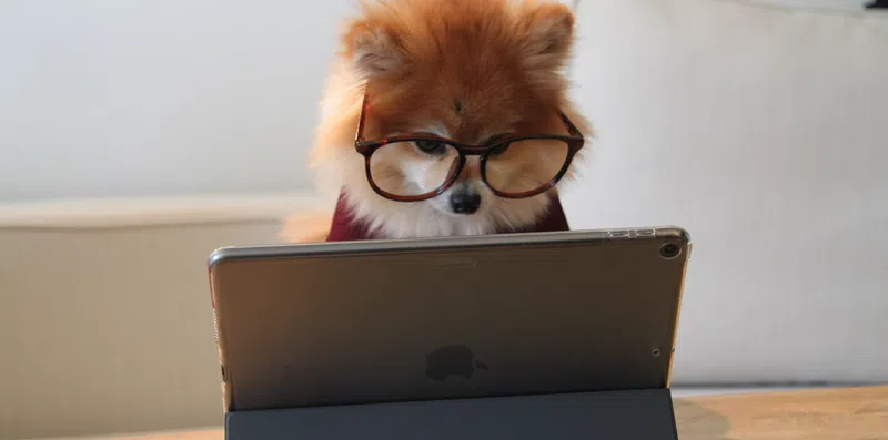 É possível fazer o ACT online?