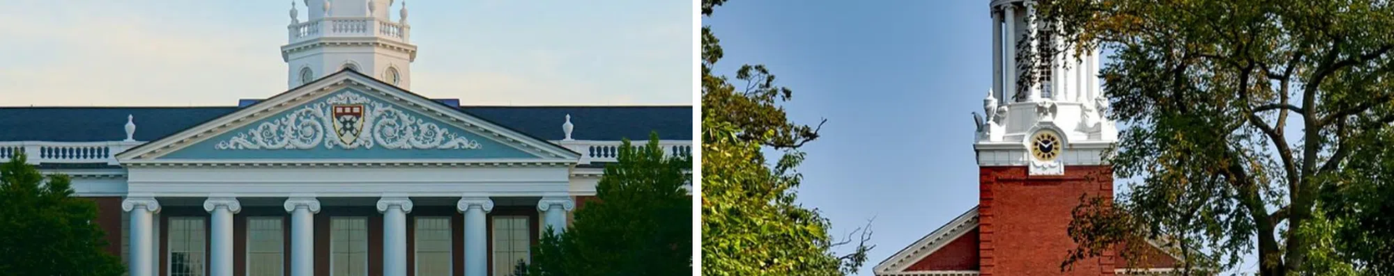 Harvard e Yale: qual universidade da Ivy League é a melhor?