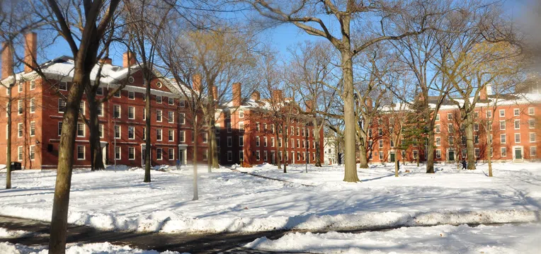 universidade-de-harvard