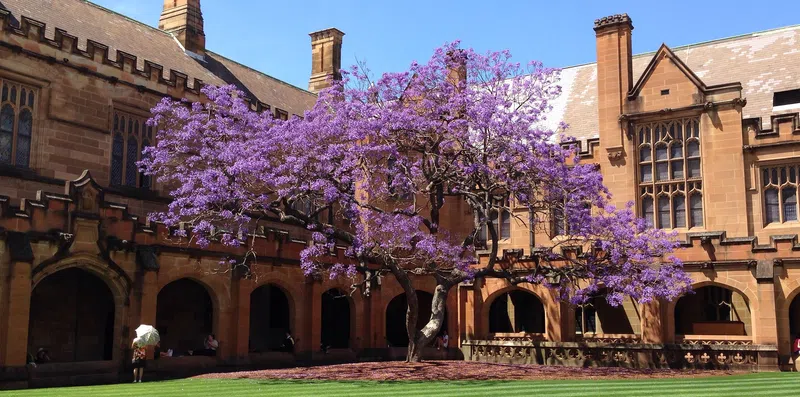 3 tipos de bolsas de graduação na Universidade de Sydney