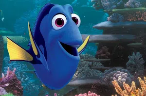 Dory